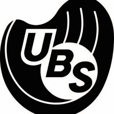 unionbaseballsystems.com's icon