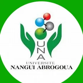 univ-na.ci's icon
