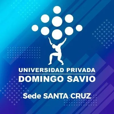 upds.edu.bo's icon