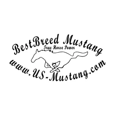 us-mustang.com's brand icon