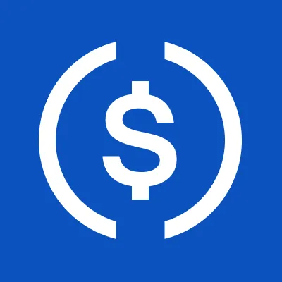 usdc.com's icon