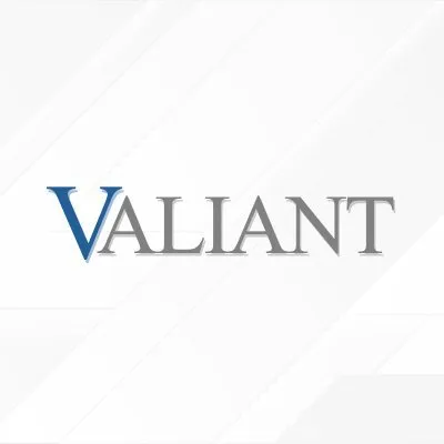 usevaliant.com's icon
