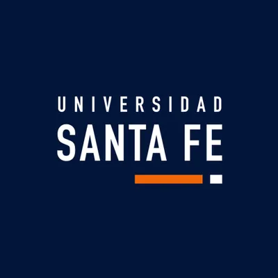 usf.com.mx's icon