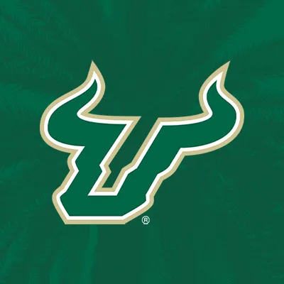 usfbullsstadium.com's icon