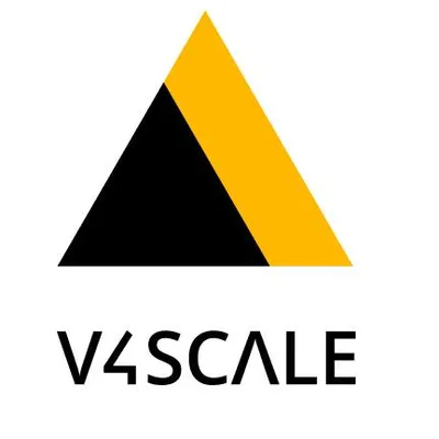 v4scale.com's icon