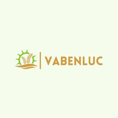 vabenluc.com's icon