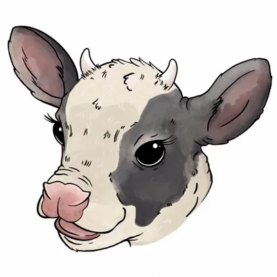 vacascreamery.com's icon