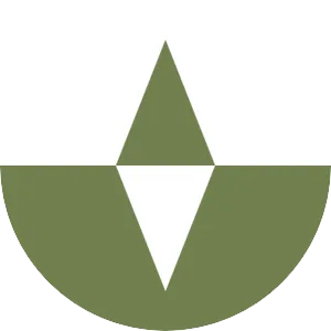 vaell.us's icon
