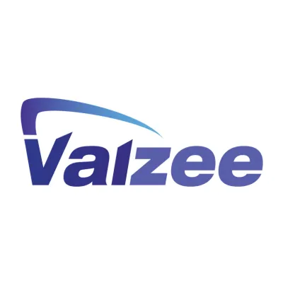 Vaizee's icon