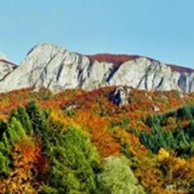 valdaveto.net's icon