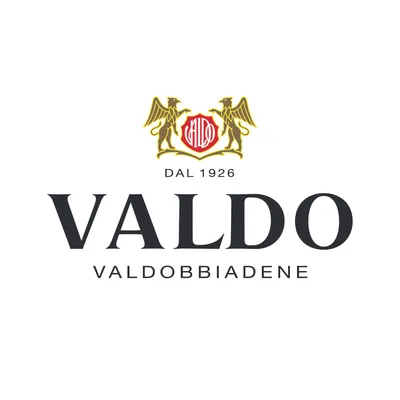 valdo.com's icon