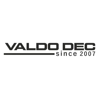 valdodec.com's icon