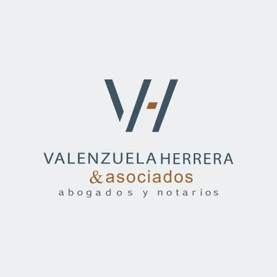 valenzuelaherrera.law's icon