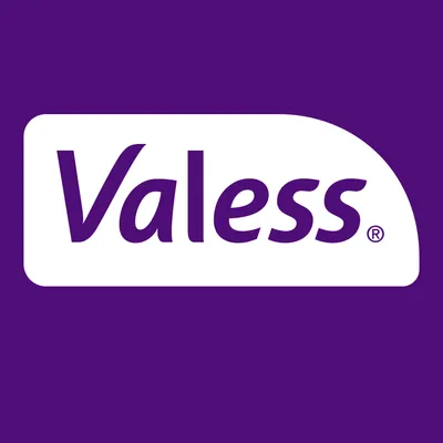 valess.de's icon