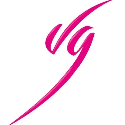 valgourmand.com's icon