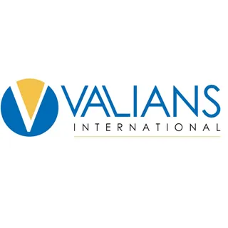valians-international.com's icon