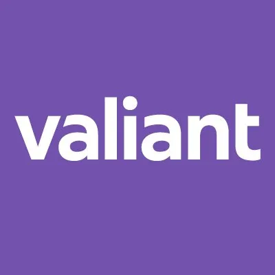 valiant-holding.com's icon