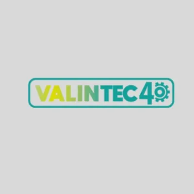 valintec40.com's icon