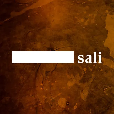 valkoinensali.com's icon