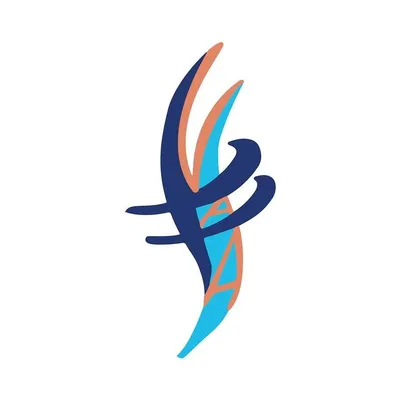 vallenallergyasthma.com's icon
