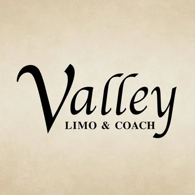valleylimousa.com's icon