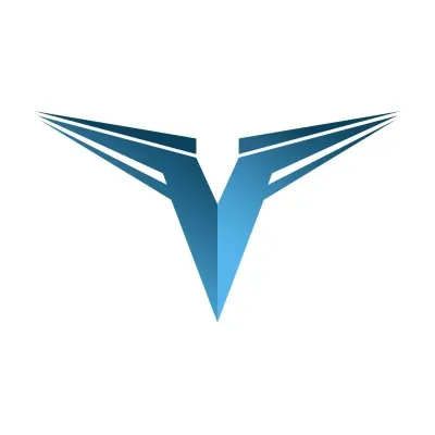 vallianiaerodetail.com's icon