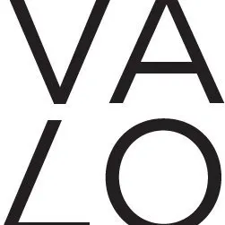 valofuture.fi's icon