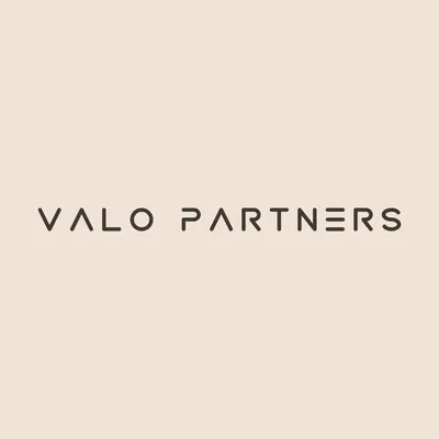 valopartners.fi's icon
