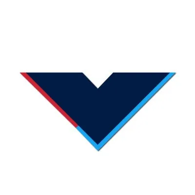valoradvisers.com's icon