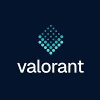 valorant.com's icon
