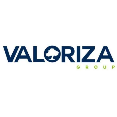 valorizagroup.com's icon