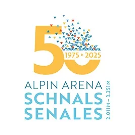 valsenales.com's icon