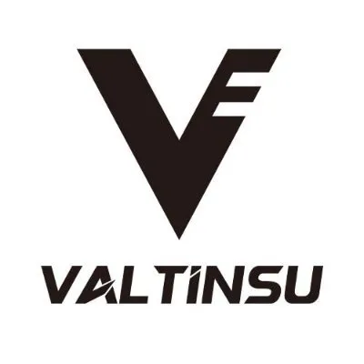 valtinsusport.com's icon