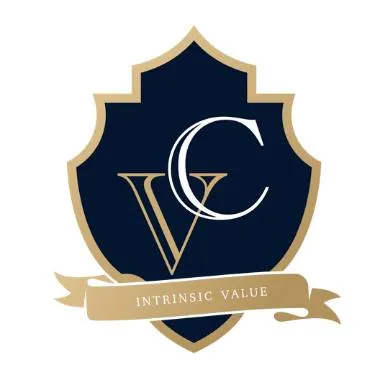 valuator-consulting.hr's icon