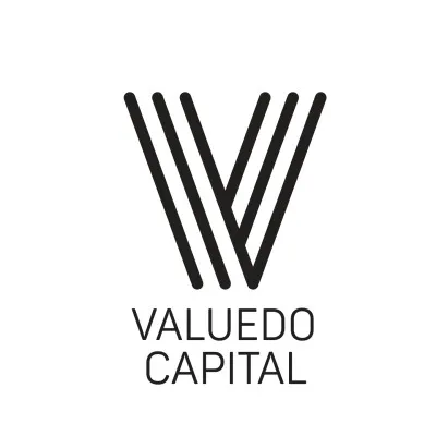valuedocapital.com's icon