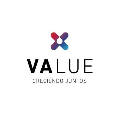 valuegrupo.com's icon
