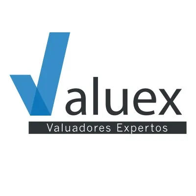 valuex.com.sv's icon