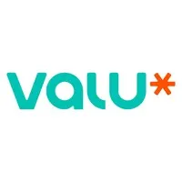 valugroup.com's icon