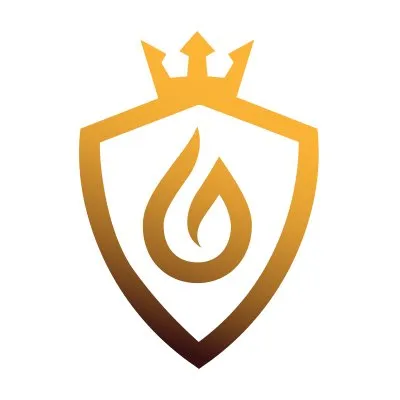 valvekings.com's icon