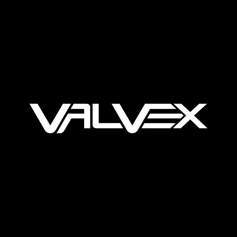 Valvex S.A.