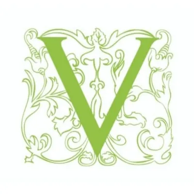 vanninieditrice.it's icon