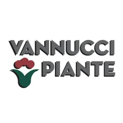 vannuccipiante.it's icon