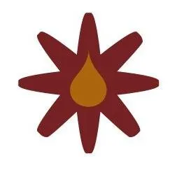 vaqueromidstream.com's icon