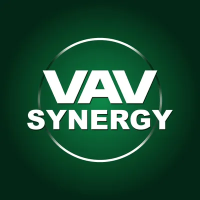 vavsynergy.com's icon