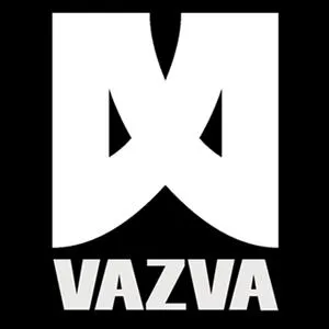 vazva.com's icon