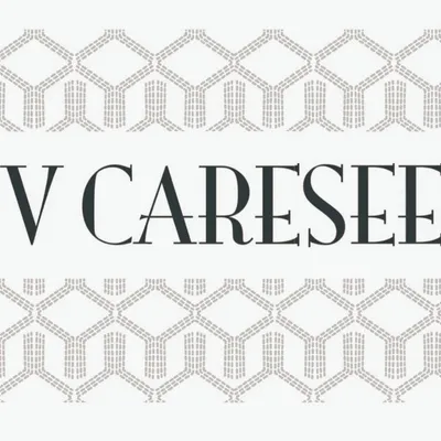 vcareseev.com's icon
