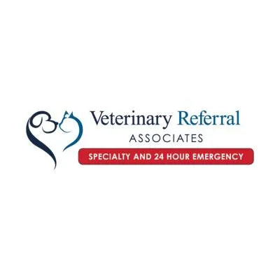vcavra.com's icon