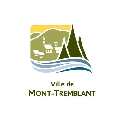 vdmt.ca's icon