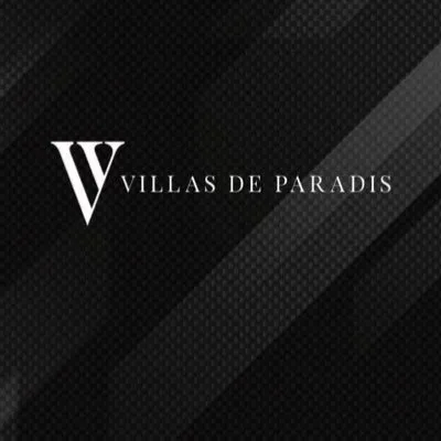 vdp.ng's icon