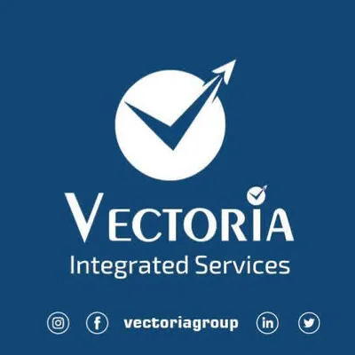 vectoriagroup.com's icon